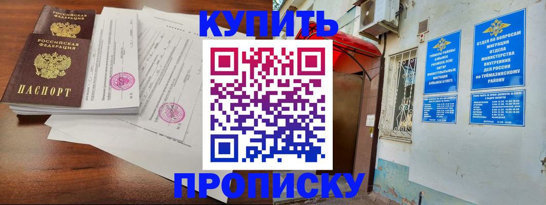 регистрация в Новозыбкове